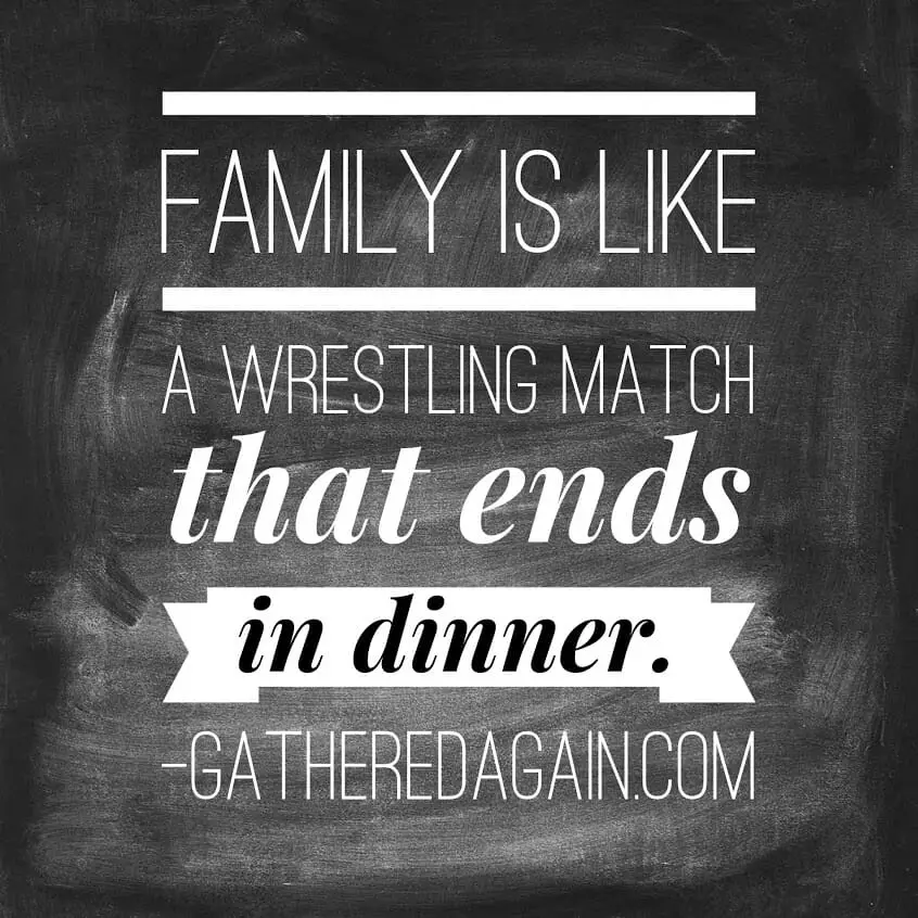 Family is like a wrestling match that ends in dinner.