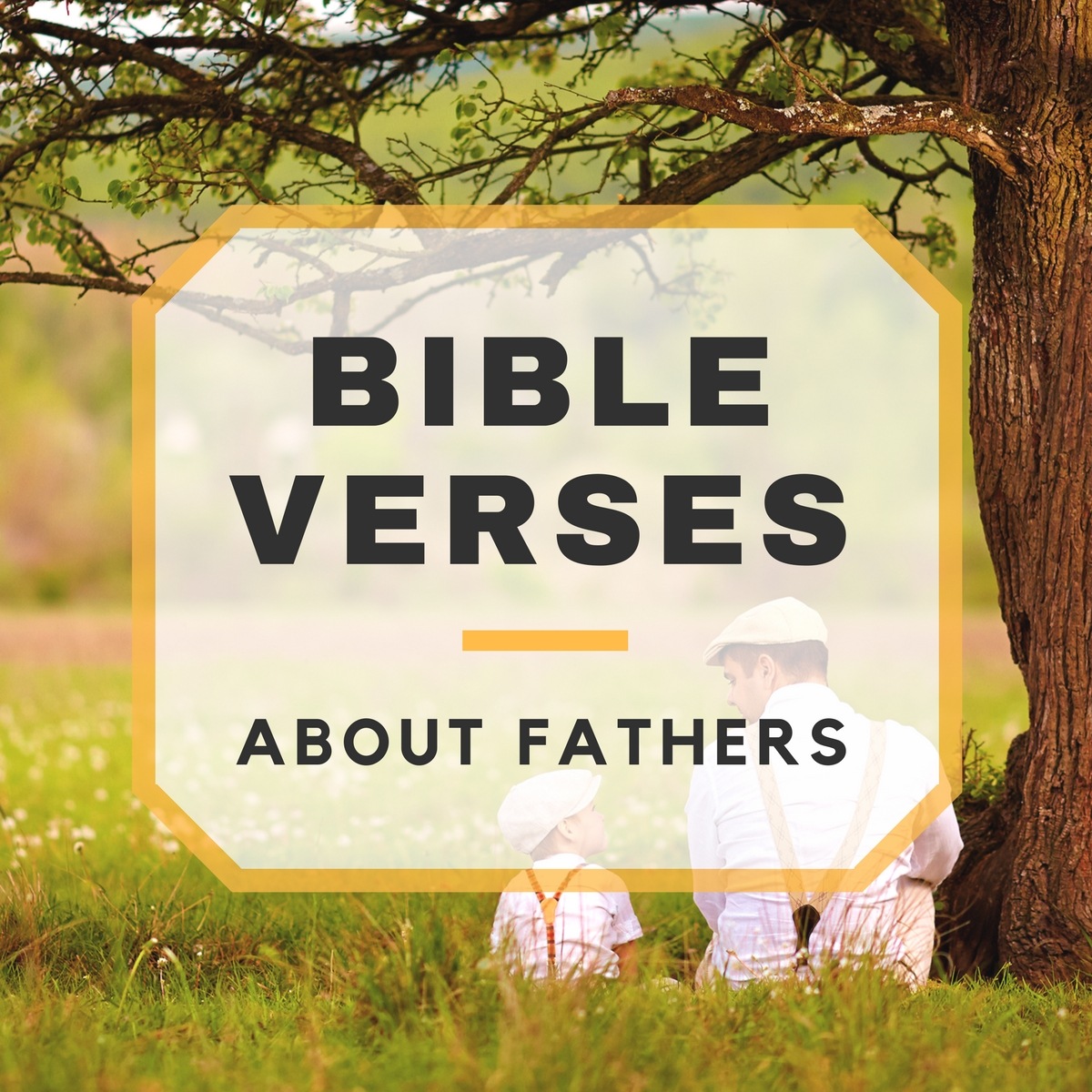 Bible Verses About Fathers