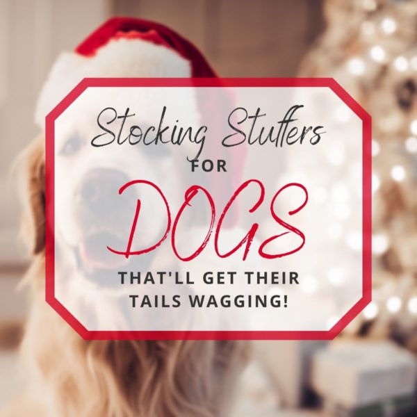 Stocking Stuffers for Dogs