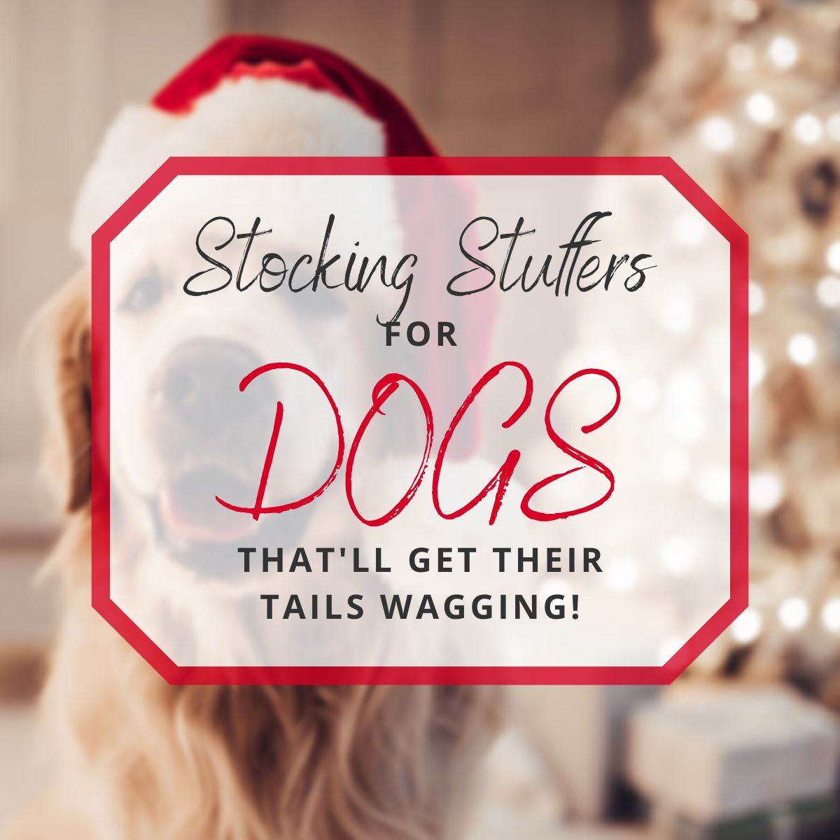 10 Stocking Stuffers for Dogs That'll Get Their Tails Wagging