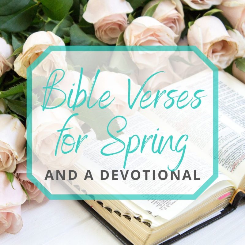 28 Bible Verses for Spring and a Devotional  Gathered Again