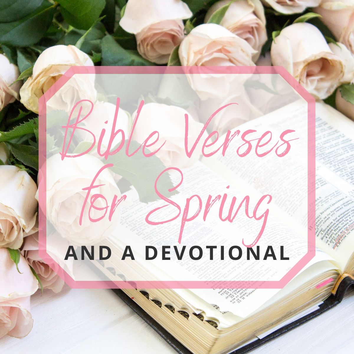 bible-verses-for-spring