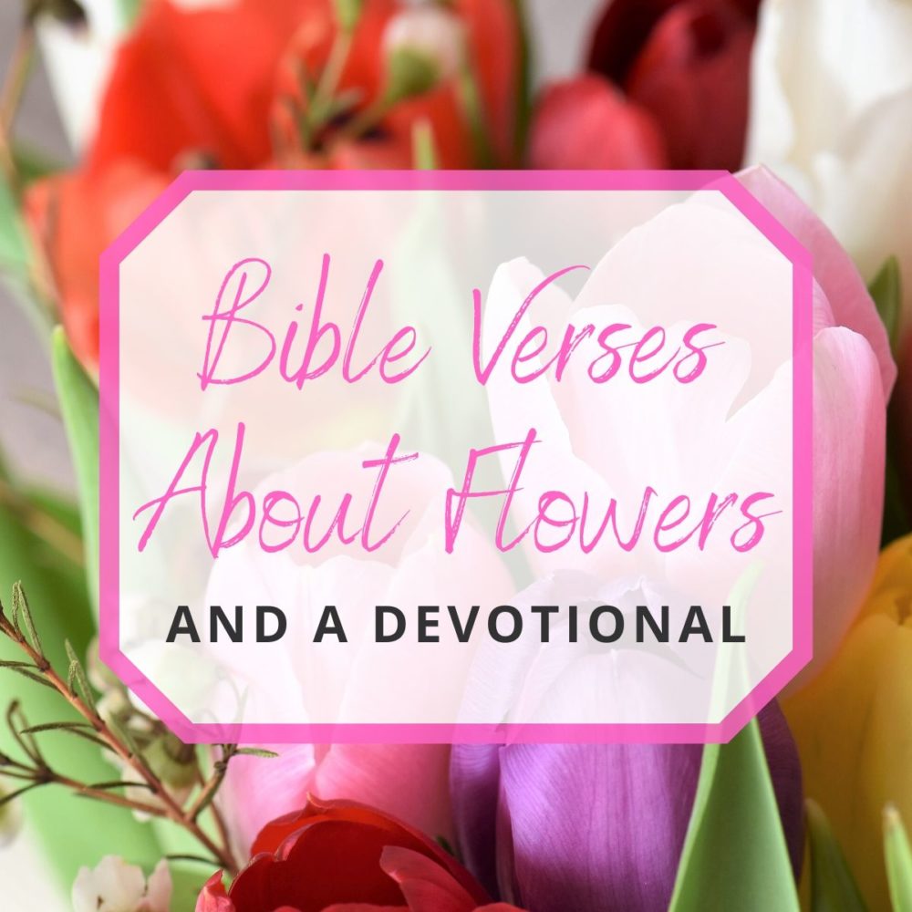 10 Bible Verses About Flowers and a Devotional Gathered Again