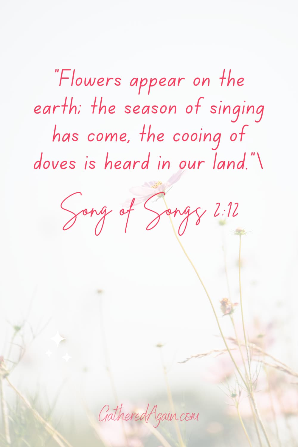 10 Bible Verses About Flowers and a Devotional Gathered Again