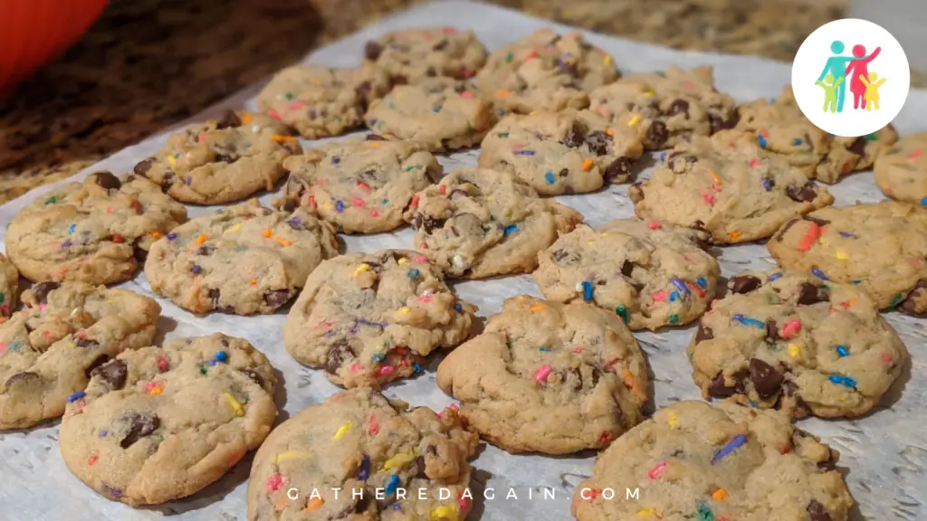 This is a photo of 2-dozen rainbow-sprinkle chocolate chip cookies.